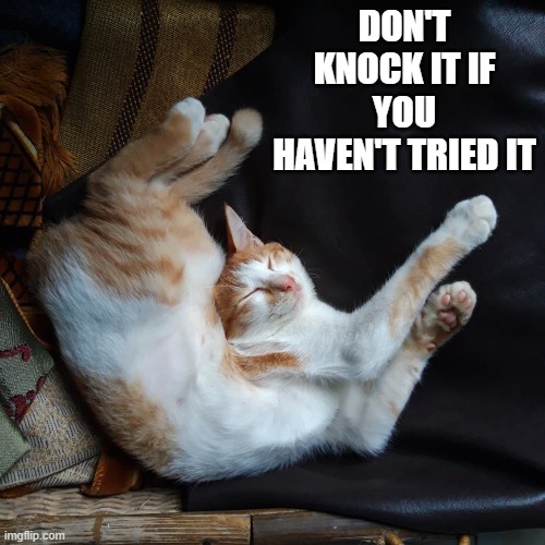 Cat says "Don't knock my sleep style if you haven't tried it. | DON'T KNOCK IT IF YOU HAVEN'T TRIED IT | image tagged in cats,funny,kitten,sleep,humor | made w/ Imgflip meme maker