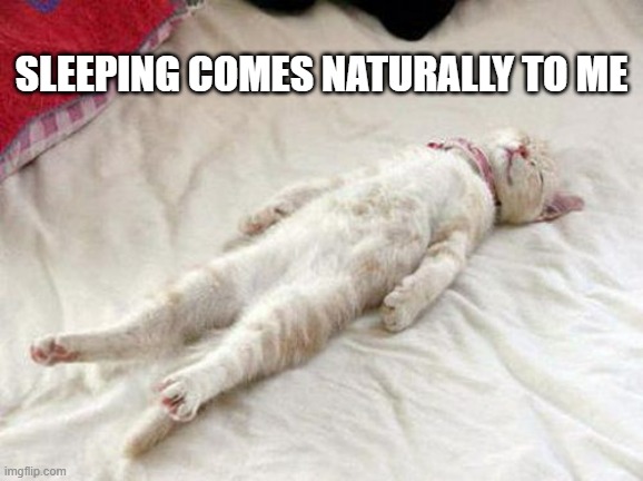 My cat thinks he's a natural sleeper. He's not.  -  funny  - | SLEEPING COMES NATURALLY TO ME | image tagged in cats,funny,kitten,sleep,humor | made w/ Imgflip meme maker