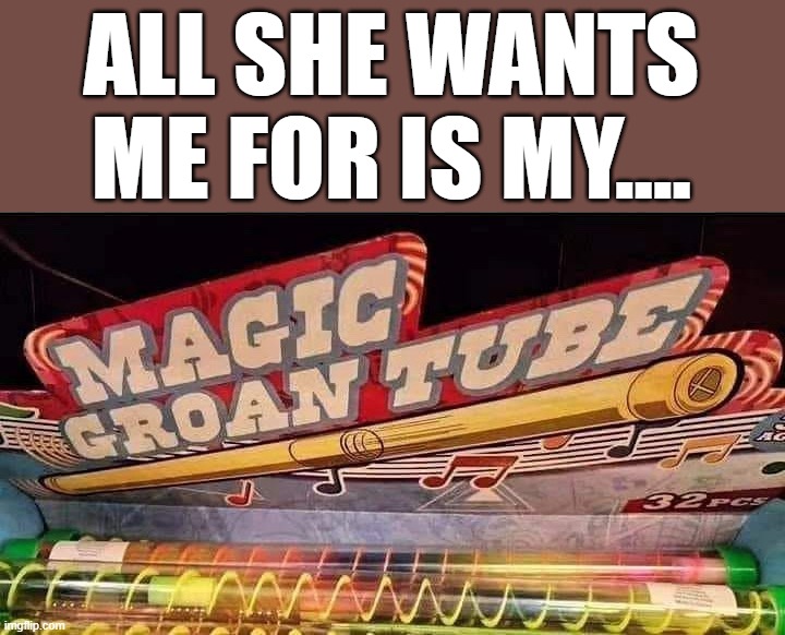 What a ride | ALL SHE WANTS ME FOR IS MY.... | image tagged in wants me | made w/ Imgflip meme maker