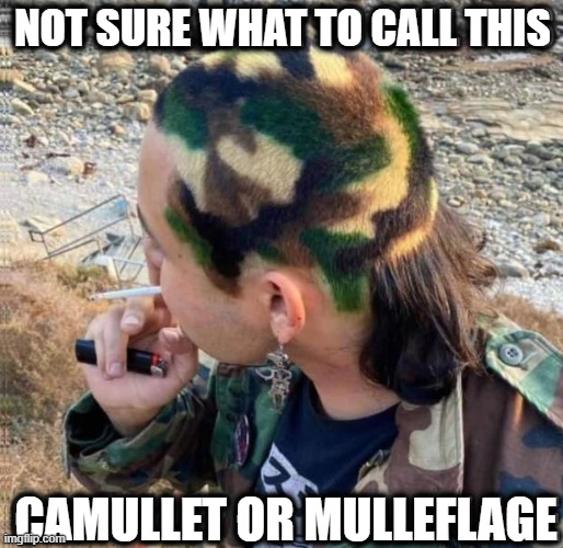 NOT SURE WHAT TO CALL THIS; CAMULLET OR MULLEFLAGE | image tagged in camo | made w/ Imgflip meme maker
