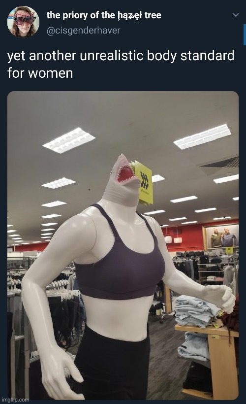 The ideal woman? | image tagged in shark,woman,body,image | made w/ Imgflip meme maker