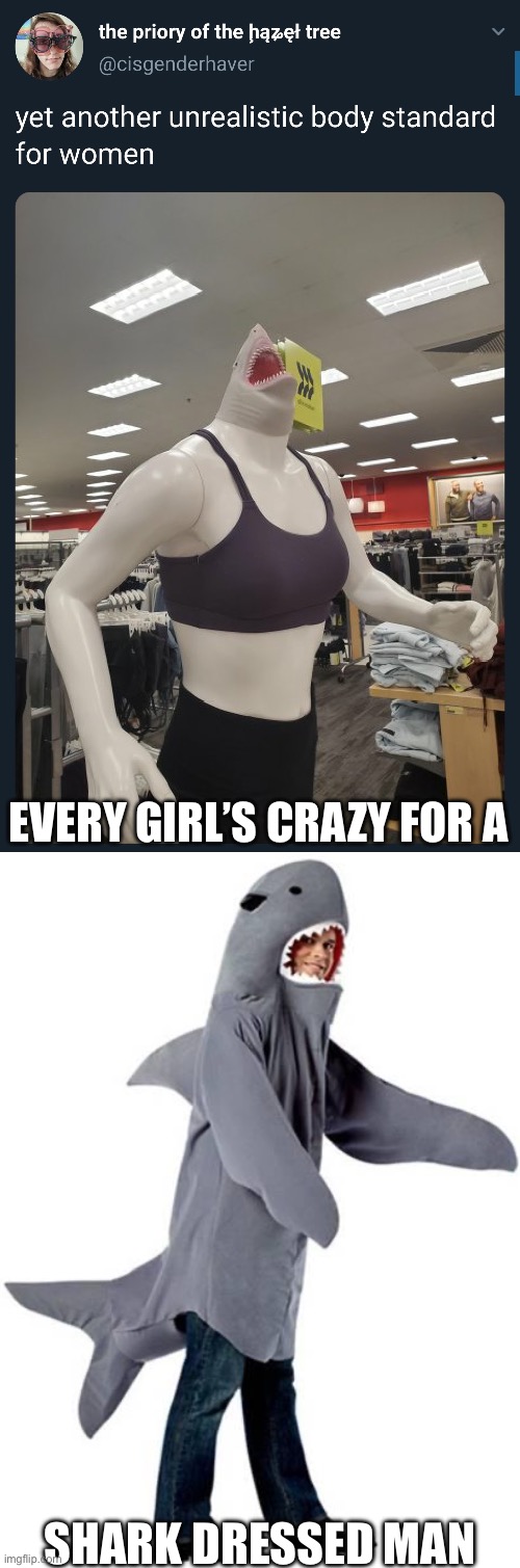 Shark girls need shark dressed men | EVERY GIRL’S CRAZY FOR A; SHARK DRESSED MAN | image tagged in shark dressed man costume,shark,girl,man,beauty | made w/ Imgflip meme maker
