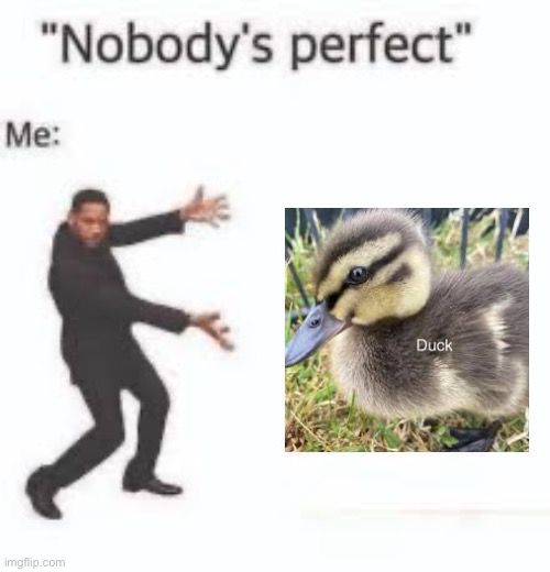 I’m perfect | image tagged in perfect | made w/ Imgflip meme maker