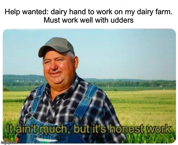 Help wanted on dairy farm | Help wanted: dairy hand to work on my dairy farm.
Must work well with udders | image tagged in honest work,dairy,milk,tits,help wanted,advertisement | made w/ Imgflip meme maker