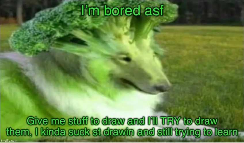 Broco dogo | I’m bored asf; Give me stuff to draw and I’ll TRY to draw them, I kinda suck st drawing and still trying to learn | image tagged in broco dogo | made w/ Imgflip meme maker