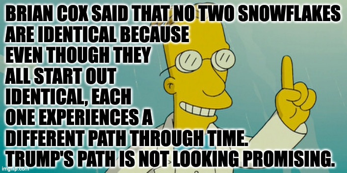 Professor Frink | BRIAN COX SAID THAT NO TWO SNOWFLAKES
ARE IDENTICAL BECAUSE
EVEN THOUGH THEY
ALL START OUT
IDENTICAL, EACH 
ONE EXPERIENCES A
DIFFERENT PATH | image tagged in professor frink | made w/ Imgflip meme maker