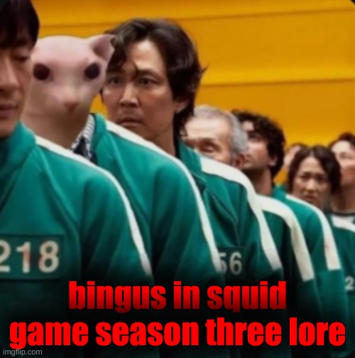 Bingus in the squid games | bingus in squid game season three lore | image tagged in bingus in the squid games | made w/ Imgflip meme maker