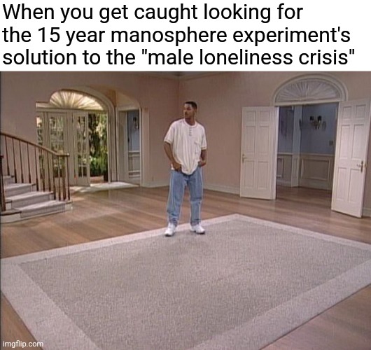 When you get caught looking for the 15 year manosphere experiment's solution to the "male loneliness crisis" | image tagged in blank white template,will smith empty room | made w/ Imgflip meme maker