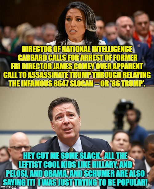 Remember . . . nothing is EVER wrong when an important leftist does it. | DIRECTOR OF NATIONAL INTELLIGENCE  GABBARD CALLS FOR ARREST OF FORMER FBI DIRECTOR JAMES COMEY OVER APPARENT CALL TO ASSASSINATE TRUMP THROUGH RELAYING THE INFAMOUS 8647 SLOGAN -- OR '86 TRUMP'. HEY CUT ME SOME SLACK.  ALL THE LEFTIST COOL KIDS LIKE HILLARY, AND PELOSI, AND OBAMA, AND SCHUMER ARE ALSO SAYING IT!  I WAS JUST TRYING TO BE POPULAR! | image tagged in yep | made w/ Imgflip meme maker