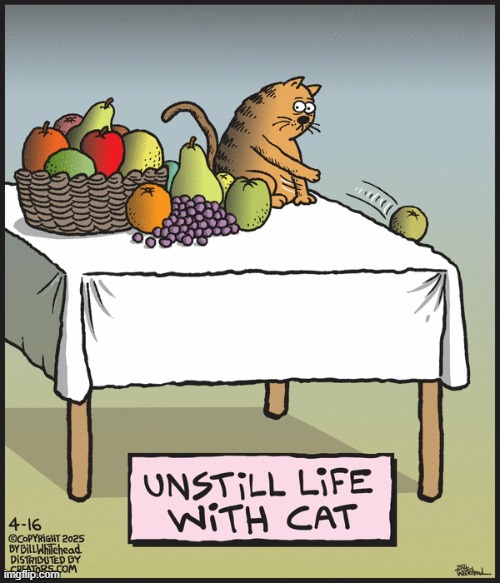 Free Range | image tagged in comics | made w/ Imgflip meme maker