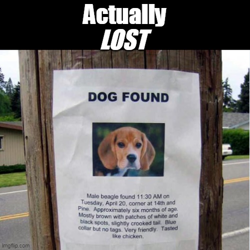 "Look in the Found and Lost" | Actually; LOST | image tagged in beagle found lost dog meme | made w/ Imgflip meme maker
