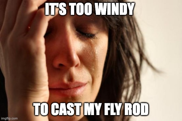 9u7adr.jpg
