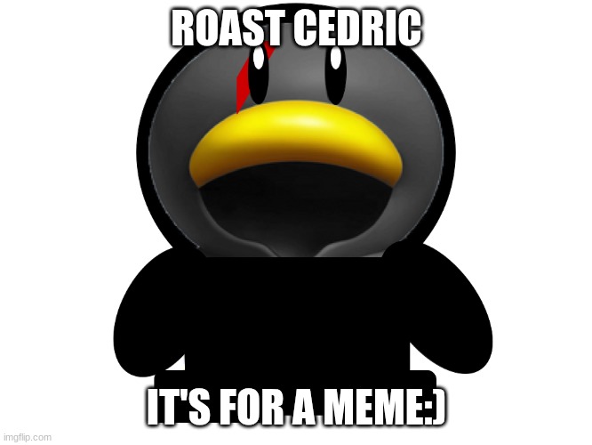 Roast Him! | ROAST CEDRIC; IT'S FOR A MEME:) | image tagged in cedric the penguin | made w/ Imgflip meme maker