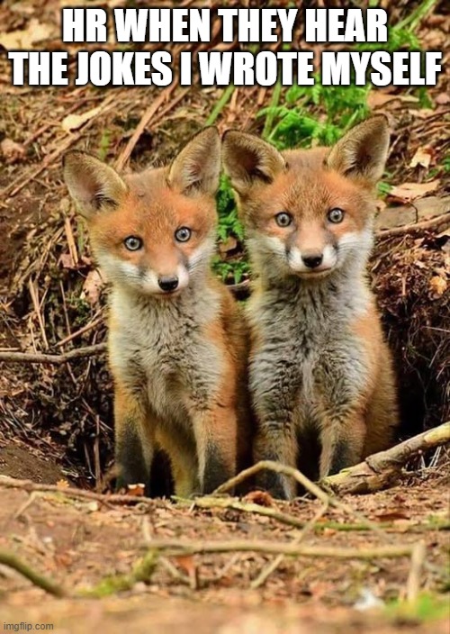 HR WHEN THEY HEAR THE JOKES I WROTE MYSELF | image tagged in foxes | made w/ Imgflip meme maker