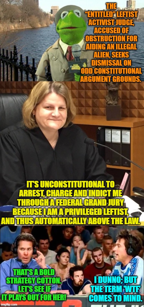 That is essentially her argument for dismissal. | THE “ENTITLED” LEFTIST ACTIVIST JUDGE, ACCUSED OF OBSTRUCTION FOR AIDING AN ILLEGAL ALIEN, SEEKS DISMISSAL ON ODD CONSTITUTIONAL ARGUMENT GROUNDS. IT'S UNCONSTITUTIONAL TO ARREST, CHARGE AND INDICT ME THROUGH A FEDERAL GRAND JURY BECAUSE I AM A PRIVILEGED LEFTIST, AND THUS AUTOMATICALLY ABOVE THE LAW. THAT'S A BOLD STRATEGY COTTON.  LET'S SEE IF IT PLAYS OUT FOR HER! I DUNNO; BUT THE TERM 'WTF' COMES TO MIND. | image tagged in kermit news report | made w/ Imgflip meme maker