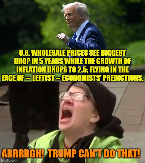So sad . . . for leftists. | U.S. WHOLESALE PRICES SEE BIGGEST DROP IN 5 YEARS WHILE THE GROWTH OF INFLATION DROPS TO 2.5; FLYING IN THE FACE OF --  LEFTIST -- ECONOMISTS’ PREDICTIONS. ARRRRGH!  TRUMP CAN'T DO THAT! | image tagged in yep | made w/ Imgflip meme maker