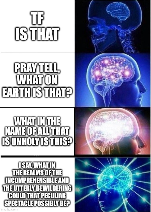 What is that? | TF IS THAT; PRAY TELL, WHAT ON EARTH IS THAT? WHAT IN THE NAME OF ALL THAT IS UNHOLY IS THIS? I SAY, WHAT IN THE REALMS OF THE INCOMPREHENSIBLE AND THE UTTERLY BEWILDERING COULD THAT PECULIAR SPECTACLE POSSIBLY BE? | image tagged in memes,expanding brain | made w/ Imgflip meme maker