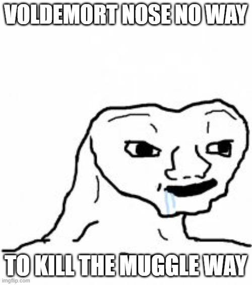 Dumb guy | VOLDEMORT NOSE NO WAY TO KILL THE MUGGLE WAY | image tagged in dumb guy | made w/ Imgflip meme maker