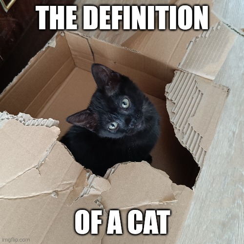 THE DEFINITION; OF A CAT | made w/ Imgflip meme maker