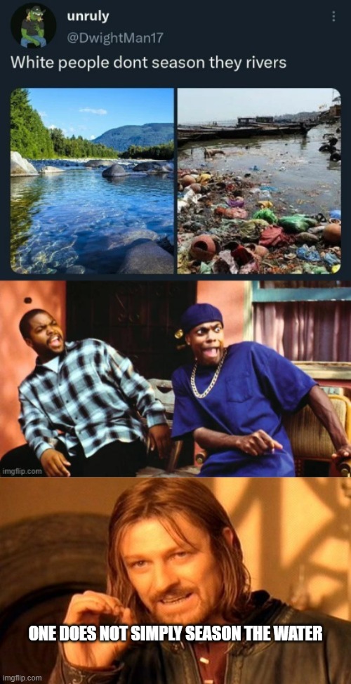 season the water | ONE DOES NOT SIMPLY SEASON THE WATER | image tagged in memes,one does not simply | made w/ Imgflip meme maker