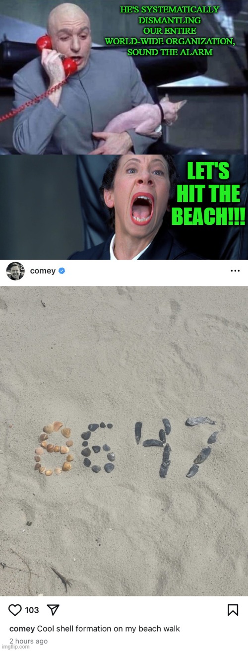 Cool Shell Formation that I Totally didn't do Myself | HE'S SYSTEMATICALLY DISMANTLING OUR ENTIRE WORLD-WIDE ORGANIZATION, SOUND THE ALARM; LET'S HIT THE BEACH!!! | image tagged in dr evil and frau | made w/ Imgflip meme maker
