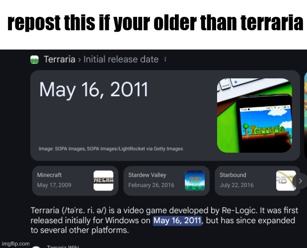 10/10 game bro... t-the memories were great | image tagged in terraria | made w/ Imgflip meme maker