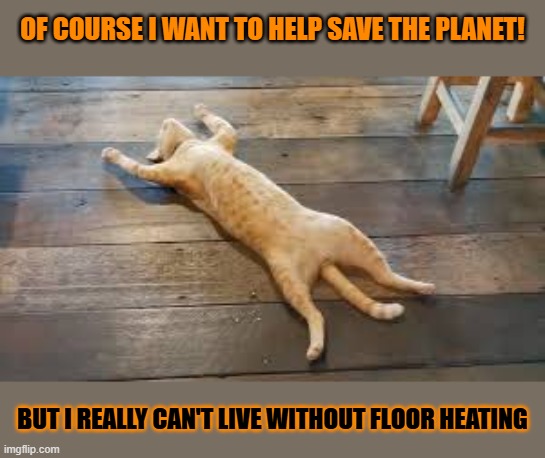 This #lolcat wonders if hoo-mens really want to save the planet | OF COURSE I WANT TO HELP SAVE THE PLANET! BUT I REALLY CAN'T LIVE WITHOUT FLOOR HEATING | image tagged in climate change,selfishness,stupid people,lolcat | made w/ Imgflip meme maker