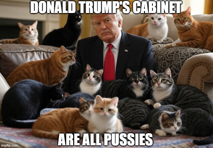 9u7ncx.jpg