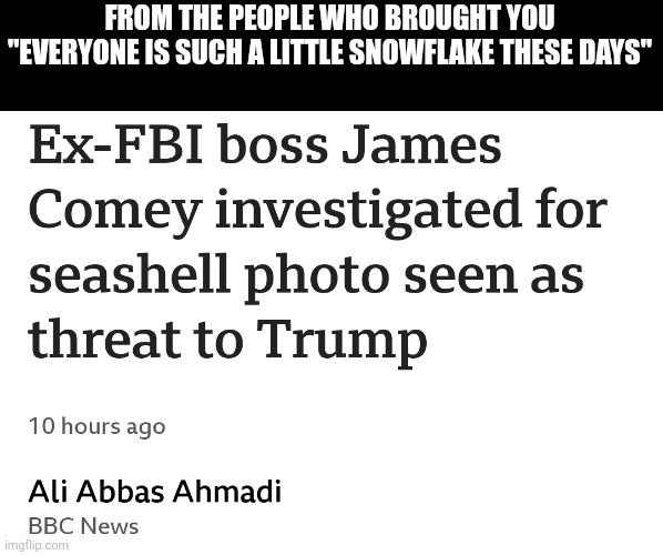 They're afraid of seashells now | FROM THE PEOPLE WHO BROUGHT YOU "EVERYONE IS SUCH A LITTLE SNOWFLAKE THESE DAYS" | image tagged in scumbag republicans,terrorists,trailer trash,conservative hypocrisy,jeffrey epstein | made w/ Imgflip meme maker