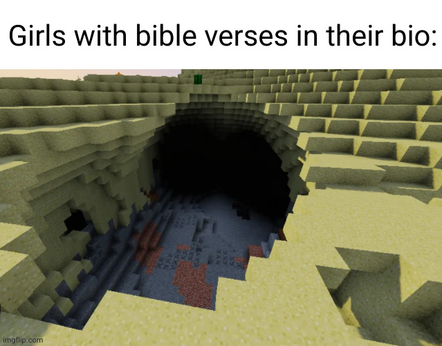 sureeeee | Girls with bible verses in their bio: | image tagged in bible verses,bible verse,bible,butthole,girls,funny | made w/ Imgflip meme maker