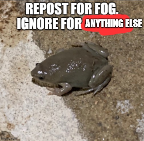 repost for fog | ANYTHING ELSE | image tagged in repost for fog | made w/ Imgflip meme maker