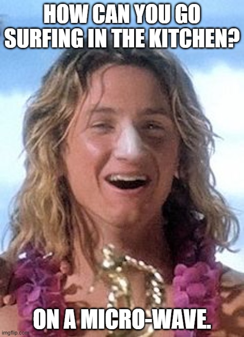 Daily Bad Dad Jokes May 16, 2025 | HOW CAN YOU GO SURFING IN THE KITCHEN? ON A MICRO-WAVE. | image tagged in dumb surfer | made w/ Imgflip meme maker