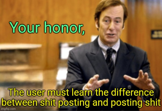 Saul Goodman defending | Your honor, The user must learn the difference between shit posting and posting shit | image tagged in saul goodman defending | made w/ Imgflip meme maker