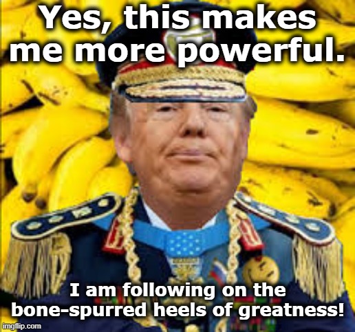 Yes, this makes me more powerful. I am following on the bone-spurred heels of greatness! | made w/ Imgflip meme maker