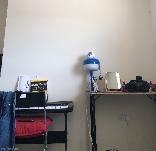 Room wall | made w/ Imgflip meme maker