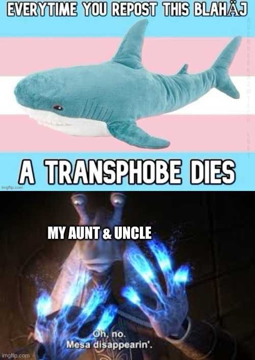 Bye have a great time! | MY AUNT & UNCLE | image tagged in transphobe killing blahaj,oh no mesa disappearing | made w/ Imgflip meme maker