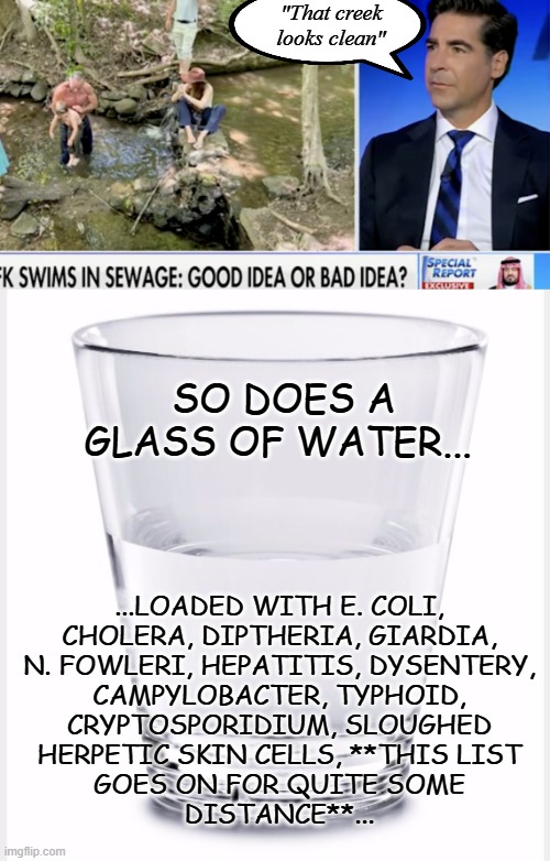 RFK Jr. needs to be charged with criminal child endangerment and Jesse Watters is an imbecile (you do't say) | "That creek looks clean"; SO DOES A GLASS OF WATER... ...LOADED WITH E. COLI,
CHOLERA, DIPTHERIA, GIARDIA,
N. FOWLERI, HEPATITIS, DYSENTERY,
CAMPYLOBACTER, TYPHOID,
CRYPTOSPORIDIUM, SLOUGHED
HERPETIC SKIN CELLS, **THIS LIST
GOES ON FOR QUITE SOME
DISTANCE**... | image tagged in glass of water,disease,sewage swimming,brainworms,hold my beer,bowling for brain-eat bug | made w/ Imgflip meme maker