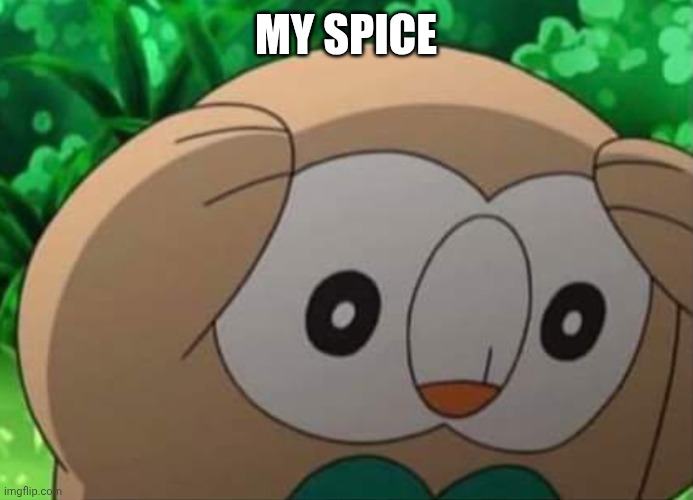 Distressed Rowlet | MY SPICE | image tagged in distressed rowlet | made w/ Imgflip meme maker