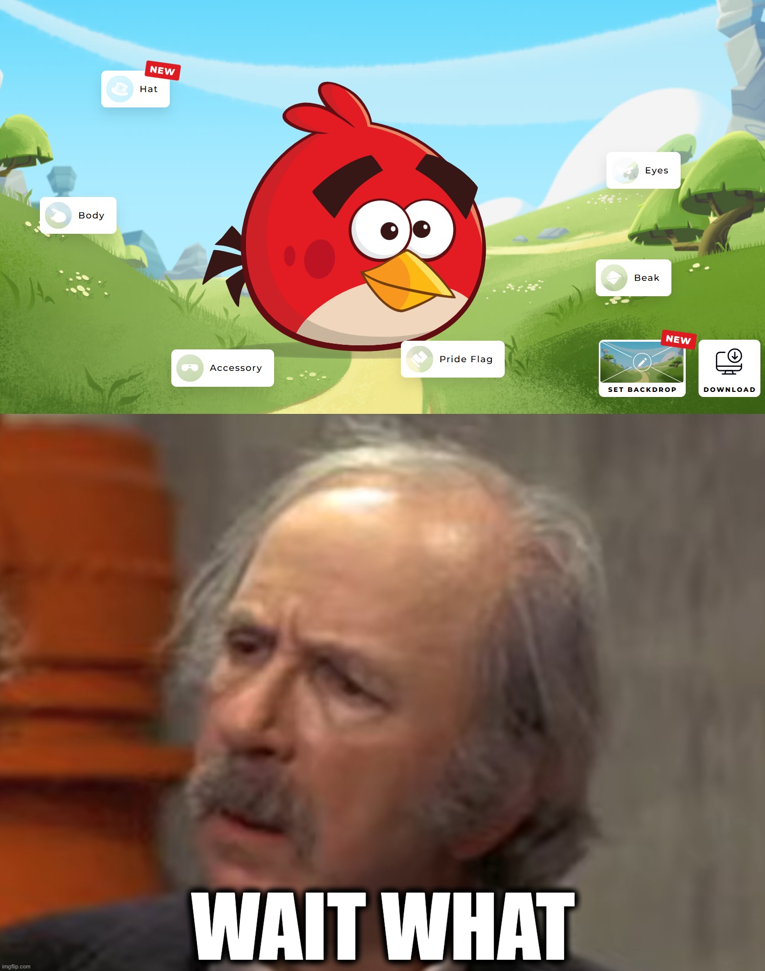 Angrybirds.com has a custom bird maker. But the options are a little...strange... | WAIT WHAT | image tagged in grandpa joe wait what,angry birds | made w/ Imgflip meme maker