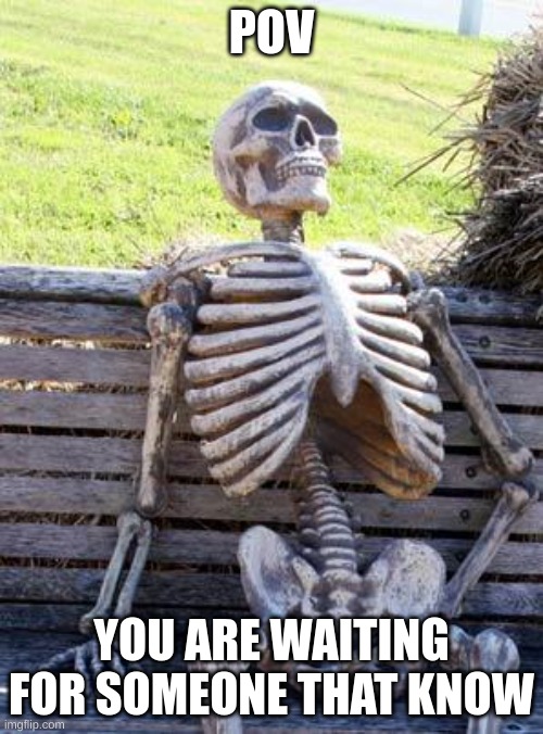Waiting Skeleton | POV; YOU ARE WAITING FOR SOMEONE THAT KNOW | image tagged in memes,waiting skeleton | made w/ Imgflip meme maker