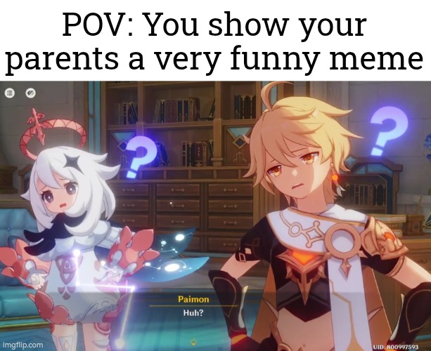 The only thing the parents mostly know is they will never understand meme. | POV: You show your parents a very funny meme | image tagged in memes,parents,pov | made w/ Imgflip meme maker