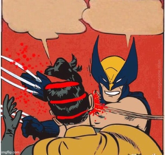 image tagged in wolverines kills robin | made w/ Imgflip meme maker