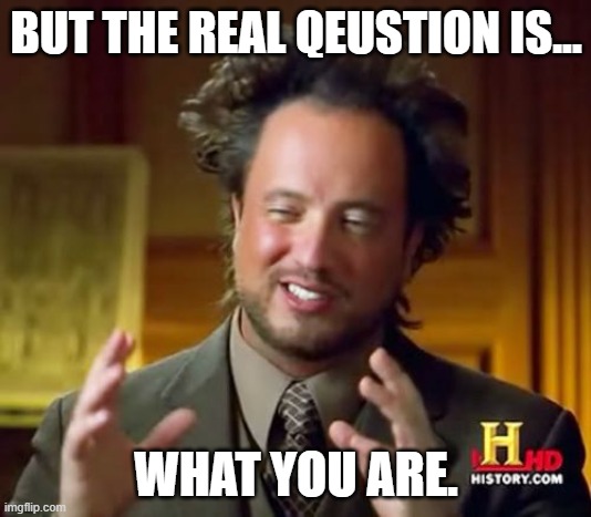 BUT THE REAL QEUSTION IS... WHAT YOU ARE. | image tagged in memes,ancient aliens | made w/ Imgflip meme maker