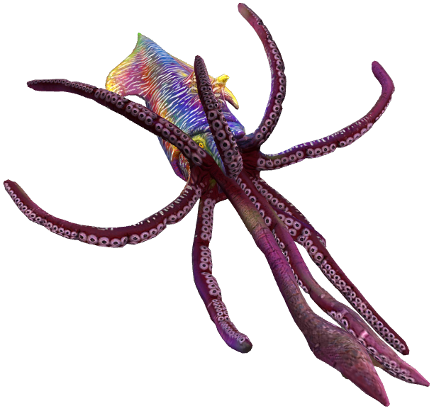 Level 40 Tusoteuthis Blank Meme Template