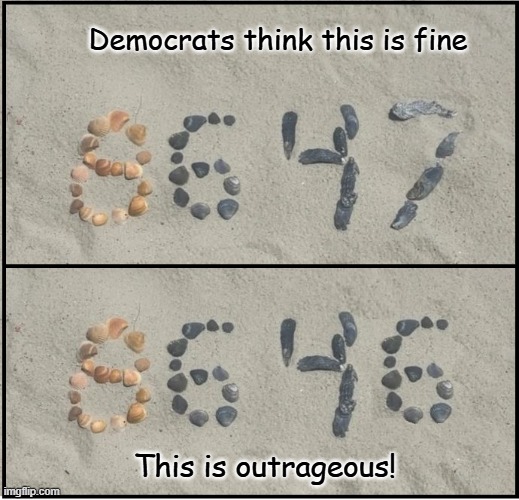 Beach Art | Democrats think this is fine; This is outrageous! | image tagged in fine it's fine | made w/ Imgflip meme maker