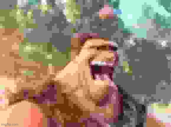 GURG | image tagged in gurg | made w/ Imgflip meme maker