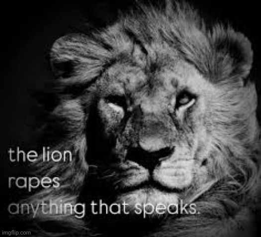 the lion rapes anything that speaks | image tagged in the lion rapes anything that speaks | made w/ Imgflip meme maker