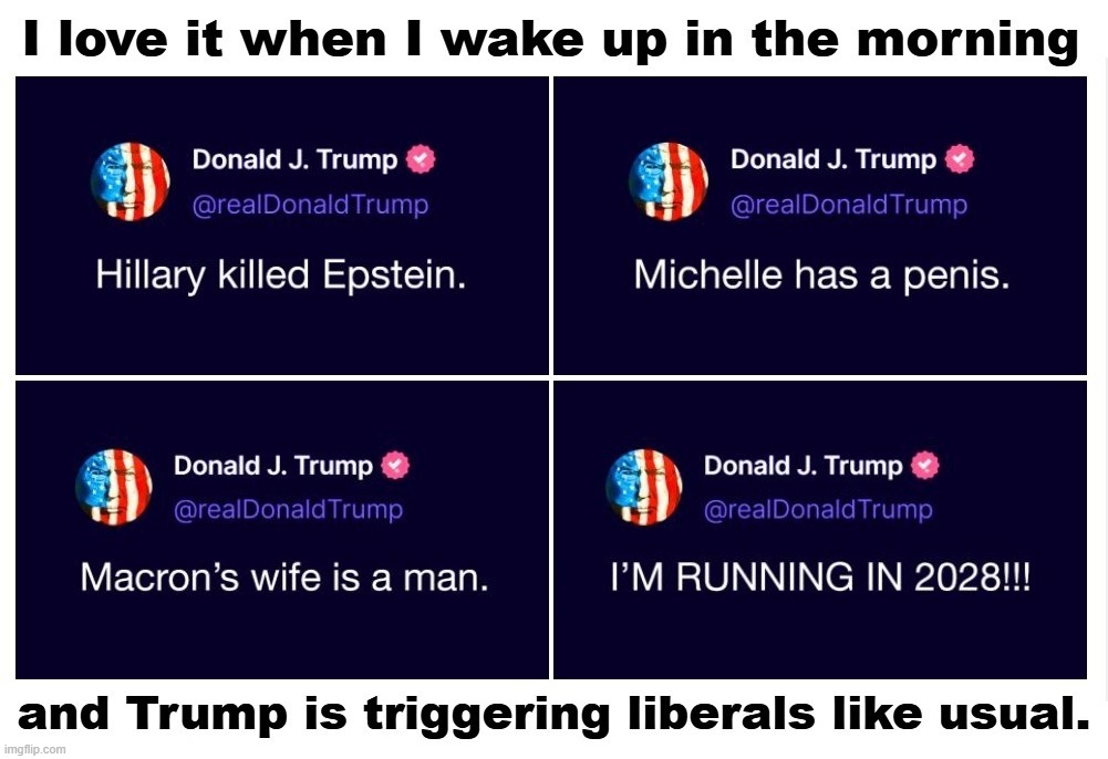 I love it when I wake up in the morning and Trump is triggering liberals like usual. | image tagged in donald trump approves,triggering liberals,fuck your feelings,liberal tears,sjw triggered,crying democrats | made w/ Imgflip meme maker