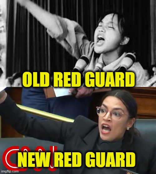More Leftist Logic | OLD RED GUARD; NEW RED GUARD | image tagged in leftists | made w/ Imgflip meme maker