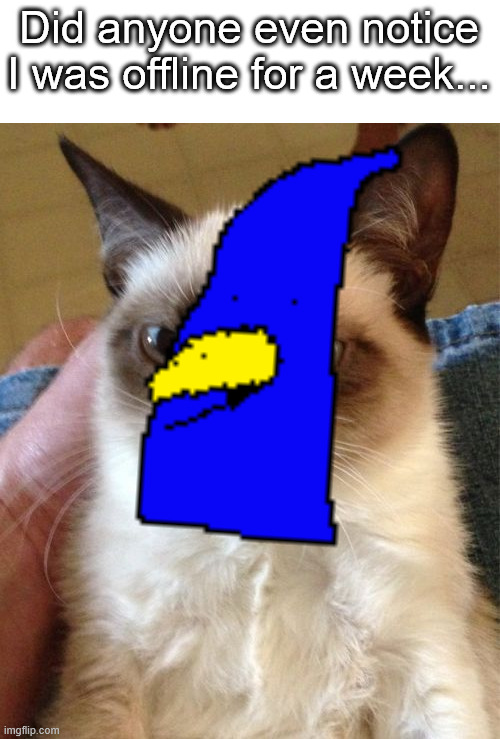 Grumpy Cat | Did anyone even notice I was offline for a week... | image tagged in memes,grumpy cat | made w/ Imgflip meme maker